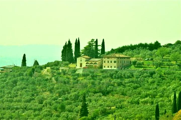 Harper, 36 — Escort in Monleale, Italy