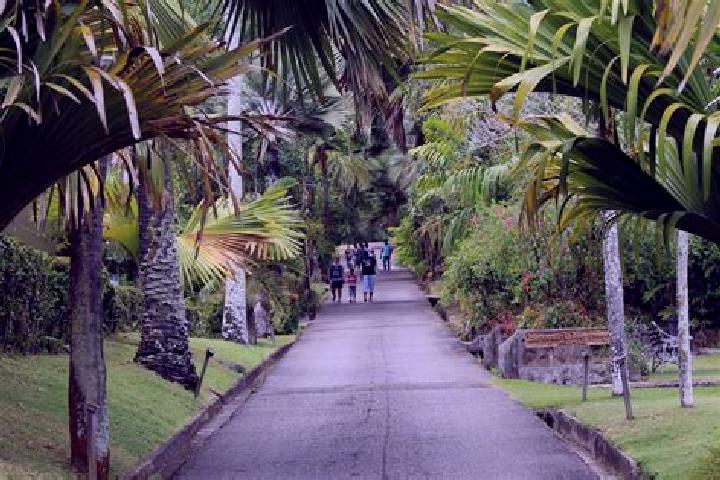 Harper, 36 — Escort in Mont Fleuri, Seychelles
