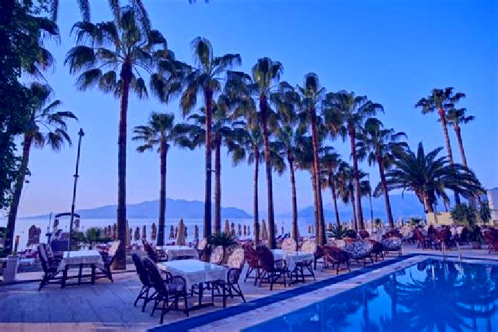 Harper, 36 — Escort in Neon Karlovasion, Greece