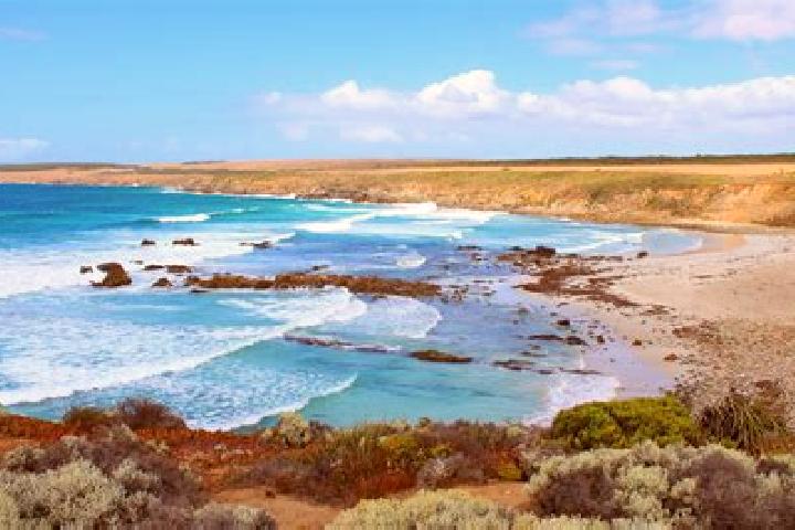 Harper, 36 — Escort in Port Lincoln, Australia