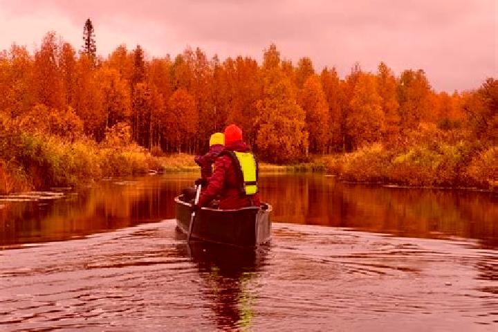 Harper, 36 — Escort in Pyhaejaervi, Finland
