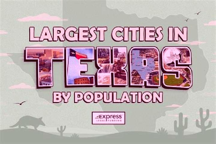 Harper, 36 — Escort in Texas City, United States