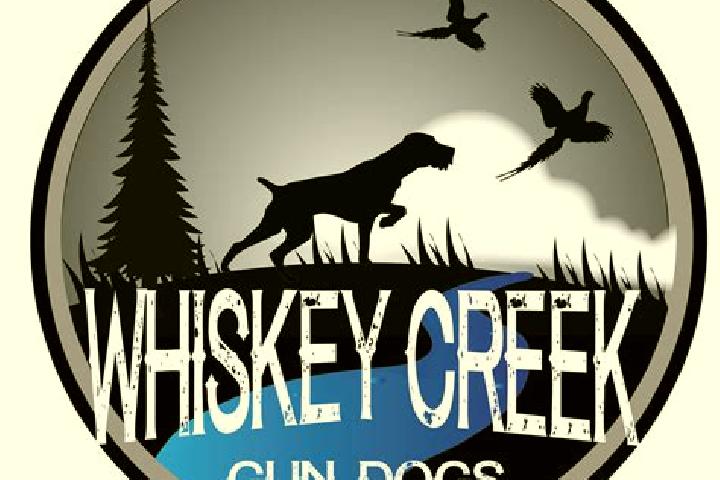 Harper, 36 — Escort in Whiskey Creek, United States