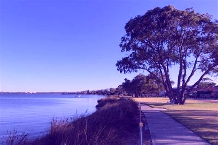 Harper, 37 — Escort in Alfred Cove, Australia