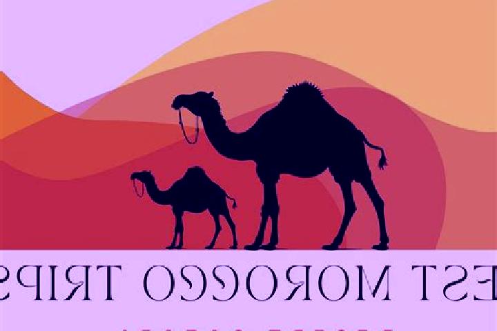 Harper, 37 — Escort in Aousserd, Morocco