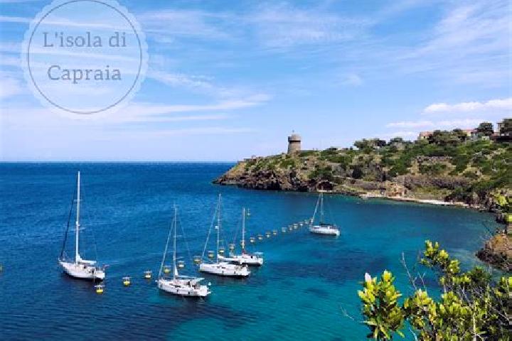 Harper, 37 — Escort in Capraia Isola, Italy