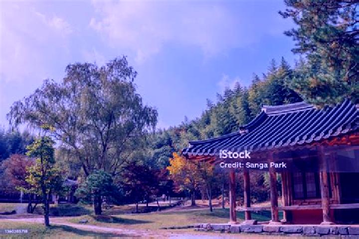 Harper, 37 — Escort in Damyang, South Korea