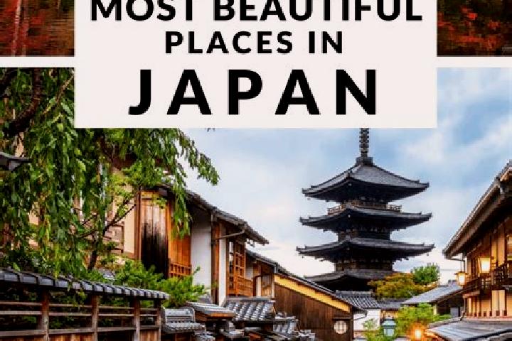 Harper, 37 — Escort in Futatsuimachi, Japan