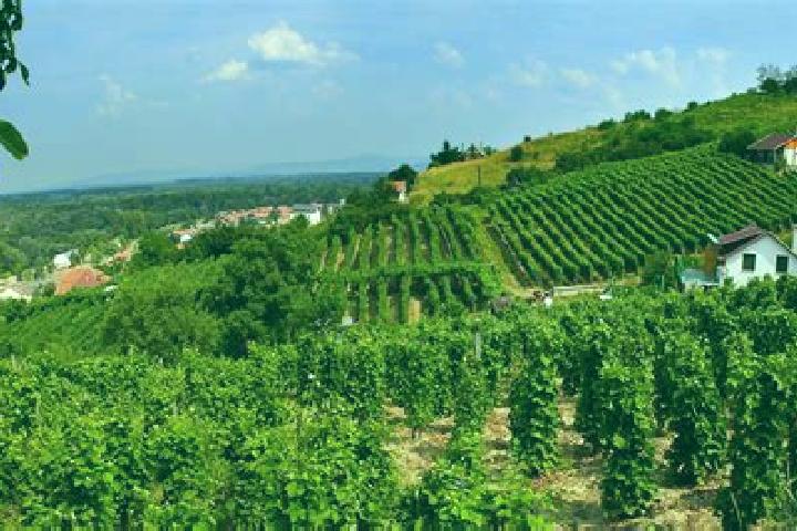 Harper, 37 — Escort in Fuzesabony, Hungary