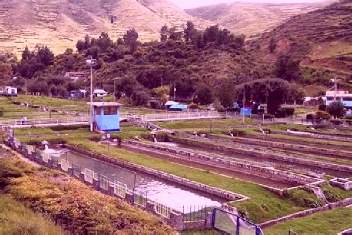 Harper, 37 — Escort in Ingenio, Peru