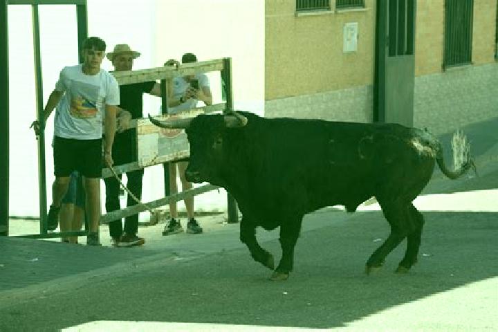 Harper, 37 — Escort in La Boveda de Toro, Spain