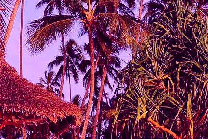 Harper, 37 — Escort in Malya, Tanzania
