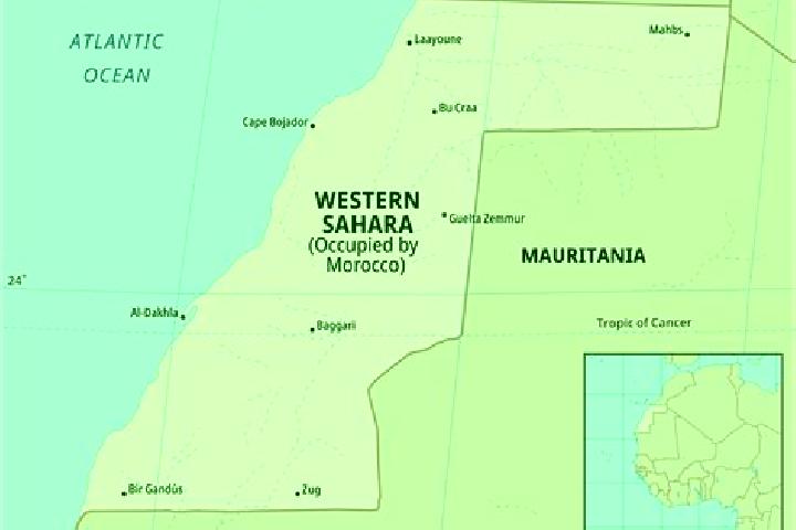 Harper, 37 — Escort in Oum Dreyga, Western Sahara