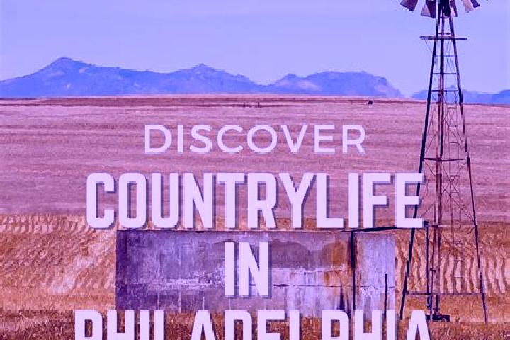 Harper, 37 — Escort in Philadelphia, South Africa
