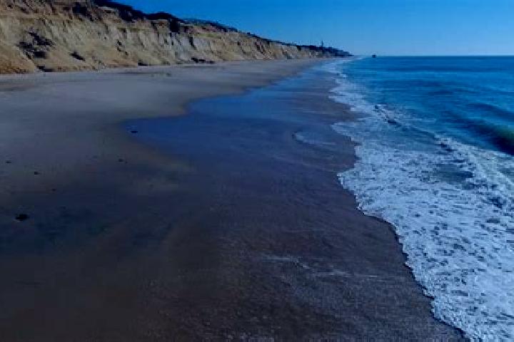 Harper, 37 — Escort in Playa Larga, Mexico