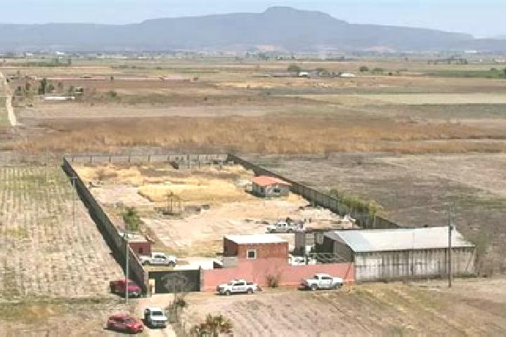 Harper, 37 — Escort in Santa Gertrudis Salitrillo, Mexico