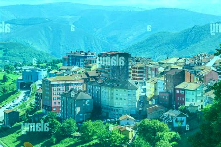Harper, 37 — Escort in Tineo, Spain