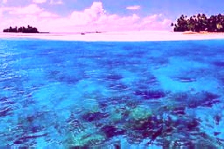 Harper, 38 — Escort in Banana, Kiribati