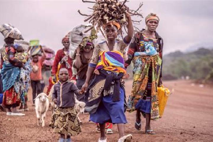 Harper, 38 — Escort in Dungu, DR Congo