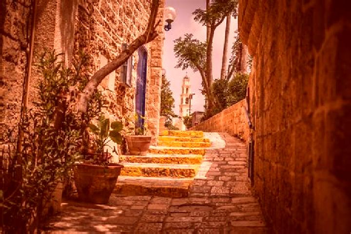 Harper, 38 — Escort in Jaffa, Israel