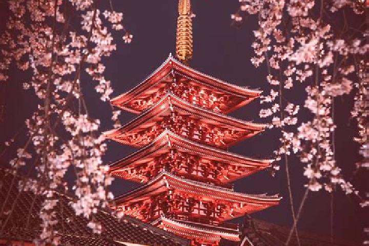 Harper, 38 — Escort in Kosuge, Japan