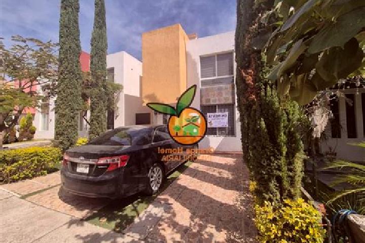 Harper, 38 — Escort in Lomas de Santa Anita, Mexico