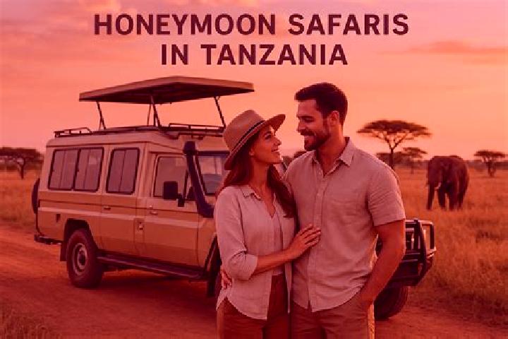Harper, 38 — Escort in Namalenga, Tanzania
