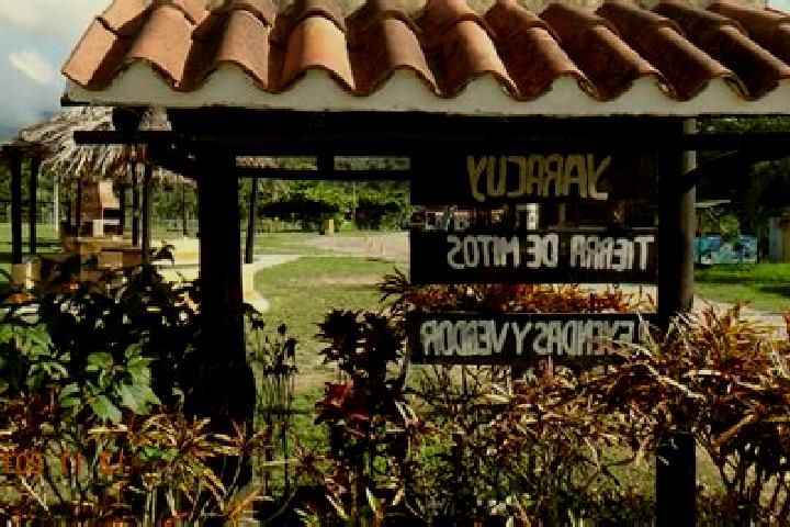 Harper, 38 — Escort in Nirgua, Venezuela