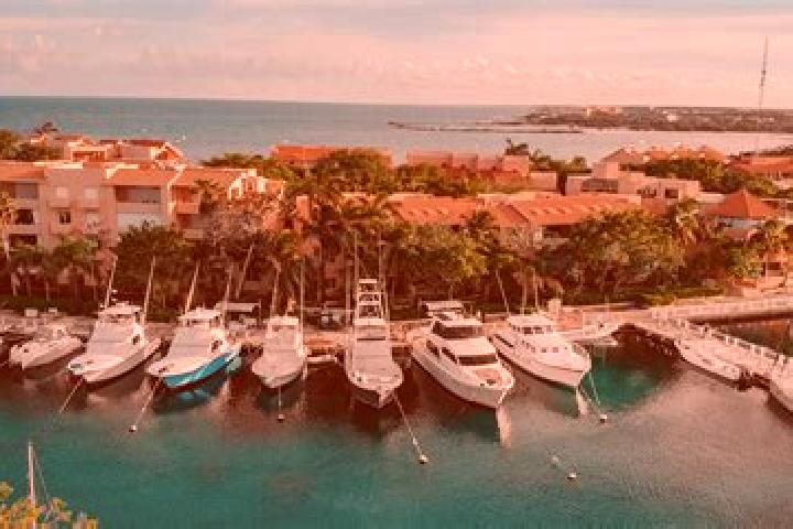 Harper, 38 — Escort in Puerto Aventuras, Mexico