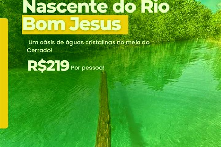 Harper, 38 — Escort in Rio Bom, Brazil
