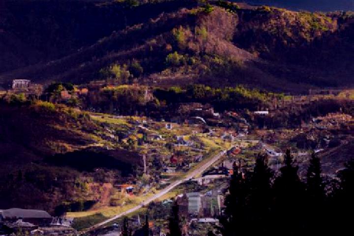 Harper, 38 — Escort in Roan Mountain, United States