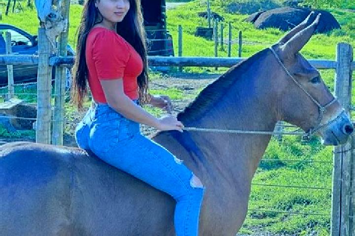 Harper, 38 — Escort in Sao Joao do Manteninha, Brazil