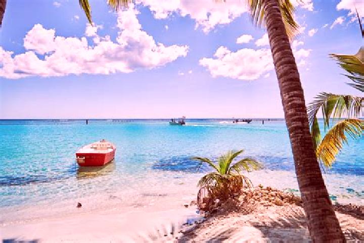 Harper, 39, a blonde grey-eyed mediterranean companion based in Santo Domingo. Offering Couples, Erotic Massage. Available for incall and outcall, overnight ...