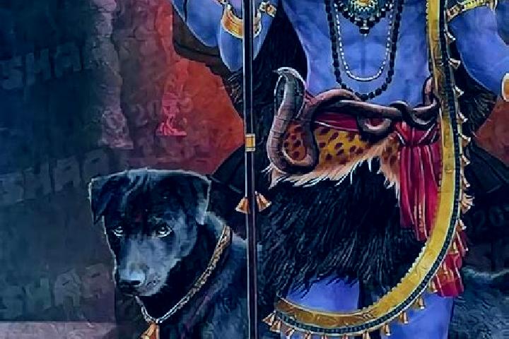 Harper, 39, a red grey-eyed slavic companion based in Vahan. Offering Travel Companion, Overnight, Tantra. Available for incall and outcall, day and evening ...