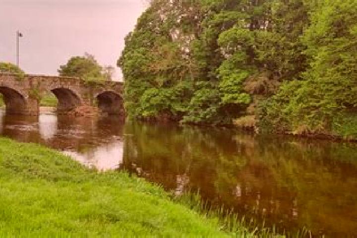 Harper, 39 — Escort in Bunclody, Ireland