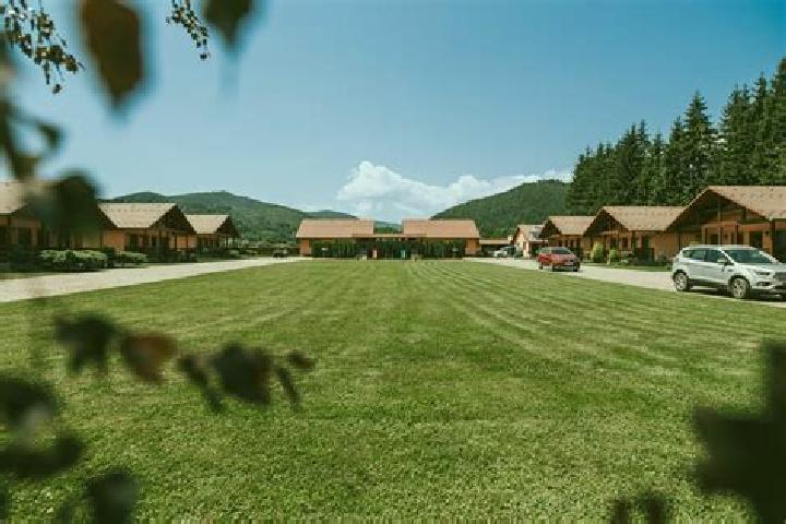 Harper, 39 — Escort in Cizer, Romania