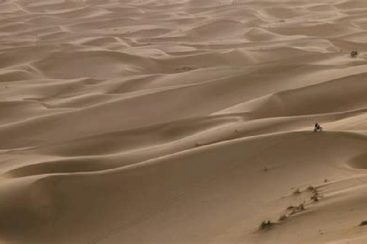Harper, 39 — Escort in Daoura, Western Sahara