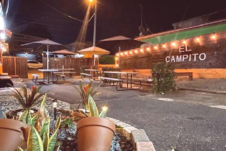 Harper, 39 — Escort in El Campito, Mexico