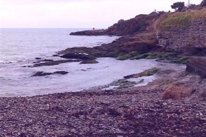Harper, 39 — Escort in Fountainstown, Ireland