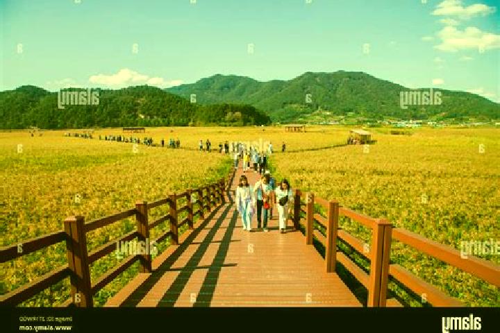 Harper, 39 — Escort in Hadong, South Korea