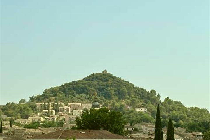 Harper, 39 — Escort in Rocbaron, France