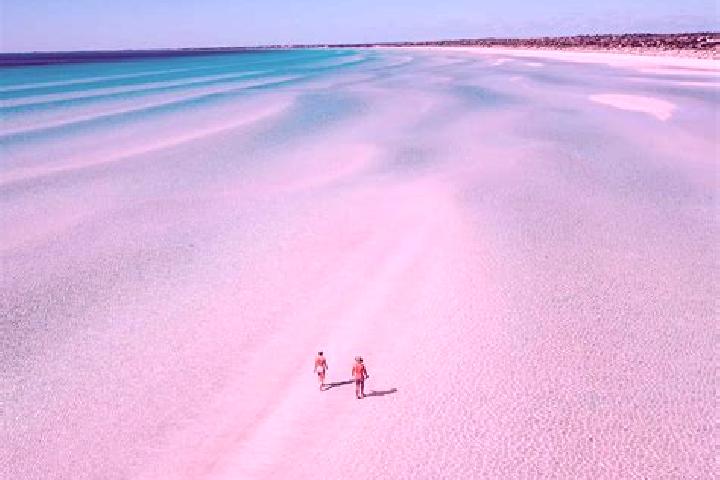 Harper, 39 — Escort in Sapphire Beach, Australia