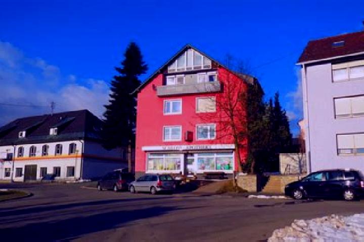 Harper, 39 — Escort in Schauenstein, Germany