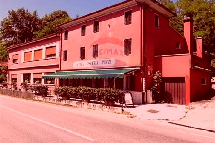 Harper, 39 — Escort in Sernaglia della Battaglia, Italy