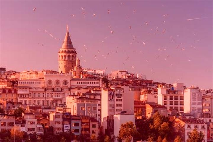 Harper, 39 — Escort in Tetirlik, Turkey