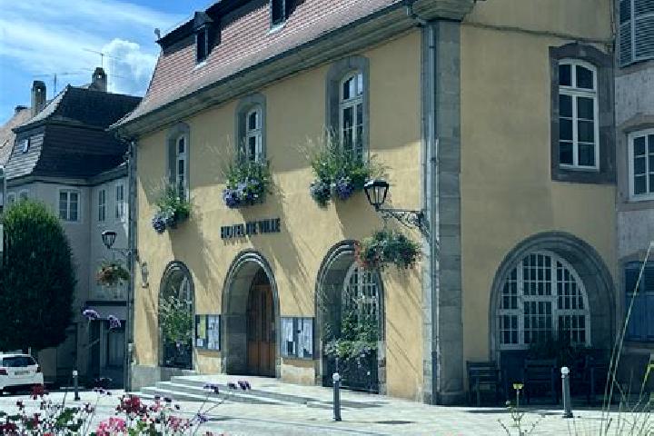 Harper, 39 — Escort in Woerth, France