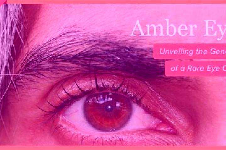 Hazel, 20, a black amber-eyed caucasian companion based in Asgardstrand. Offering Deep French Kissing, Duos, Girlfriend Experience. Available for incall and ...