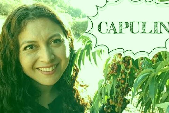 Hazel, 20 — Escort in Capulin de Bustos, Mexico