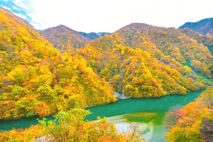 Hazel, 20 — Escort in Kurobe-shi, Japan