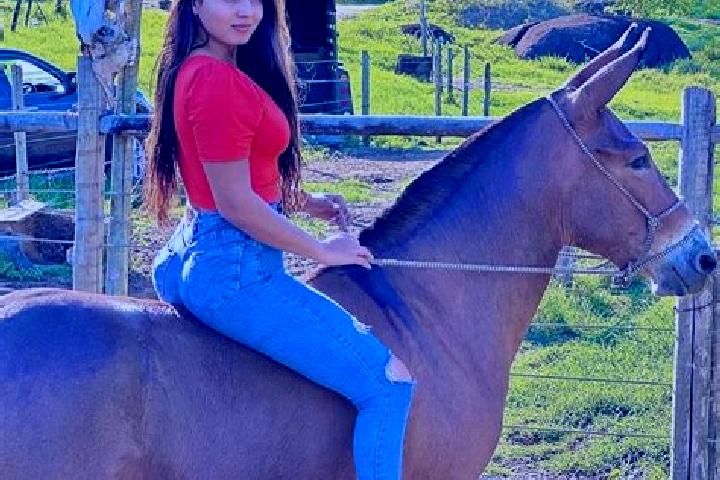 Hazel, 20 — Escort in Sao Joao do Manteninha, Brazil